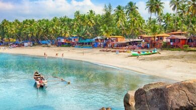 What is the activity list about Goa that you need to know?